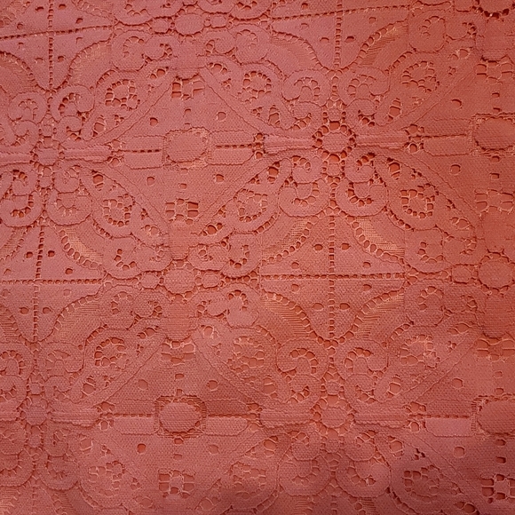 Banana Republic Women's Corral Lace Knee Skirt (Sz 4) - Picture 2 of 5